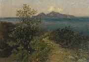 Julius Ludwig Friedrich Runge Sudliche Kustenlandschaft. Blick von der Hohe auf Insel an einem Sonnentag oil painting on canvas